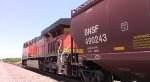 BNSF G-EDUELP